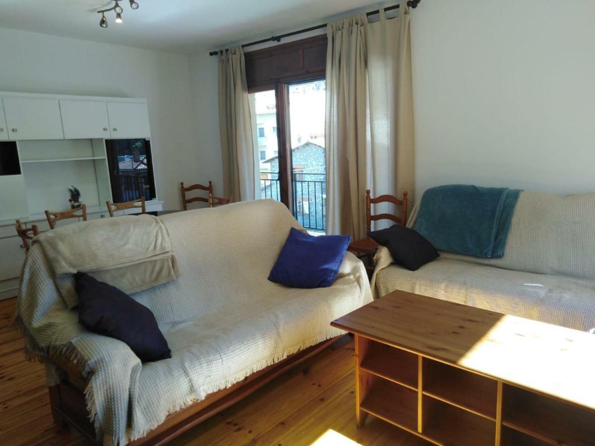 Apartamento Pis Gran I Acollidor Amb Llar De Foc, A Camprodon